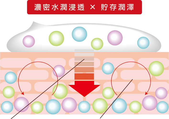 うるおい浸透×うるおい貯蓄