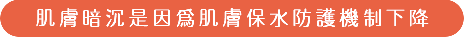 シミ部分は保水バリア機能が低下している