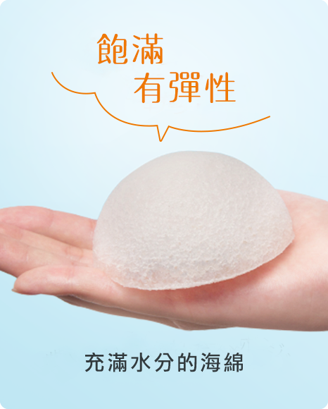 ふっくらもちもち 水分が蓄えられたスポンジ
