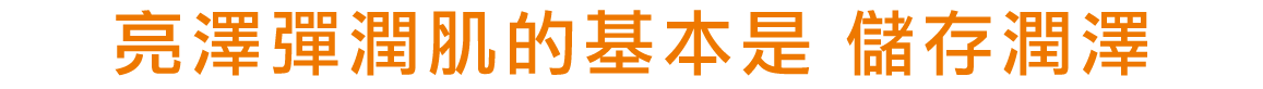 ハリつやの基本は、うるおい貯蓄