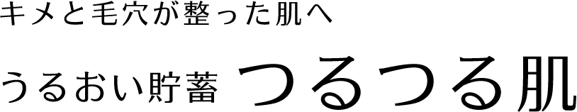 キメと毛穴が整った肌へ  うるおい貯蓄 つるつる肌