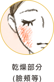 カサつく部分 (頬など)